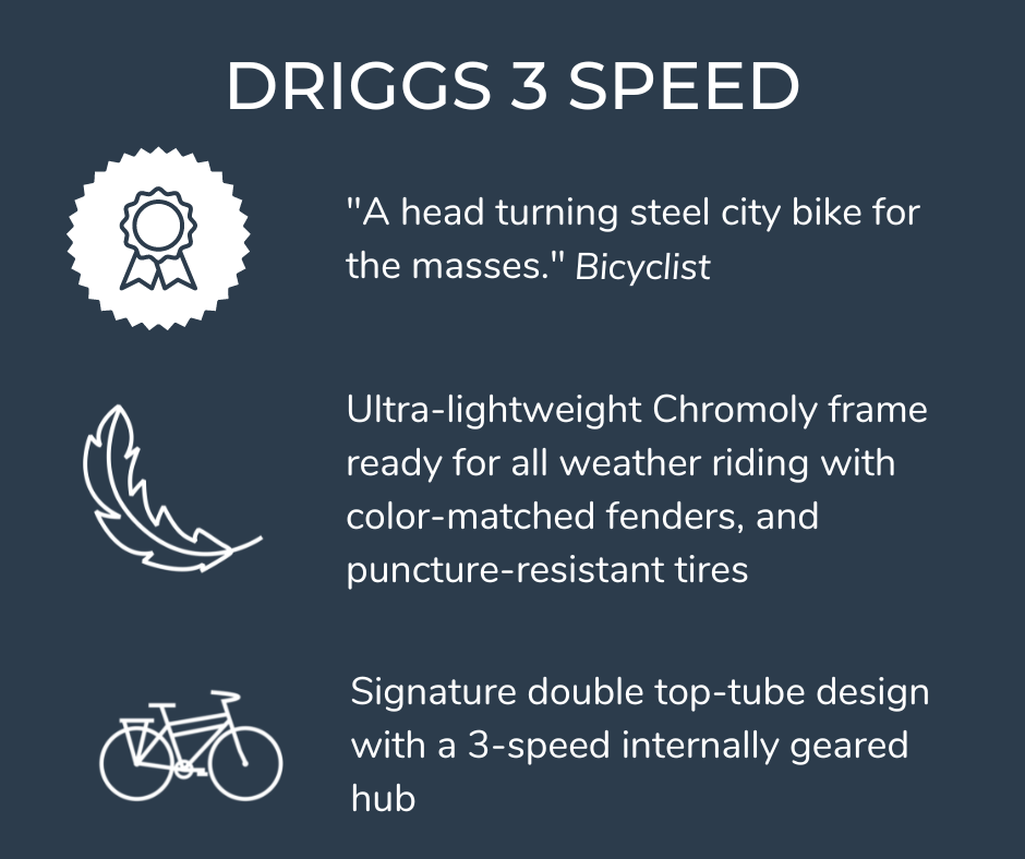 Driggs 3 Speed Stylish 3 Speed Bicycle | Driggs Three Cruiser Bike 