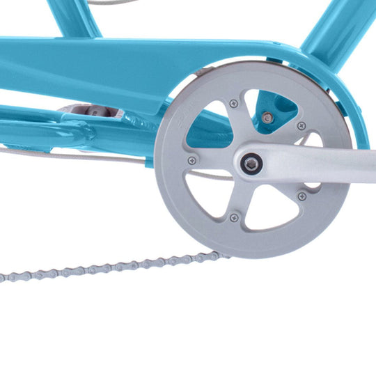 beach cruiser bike chain