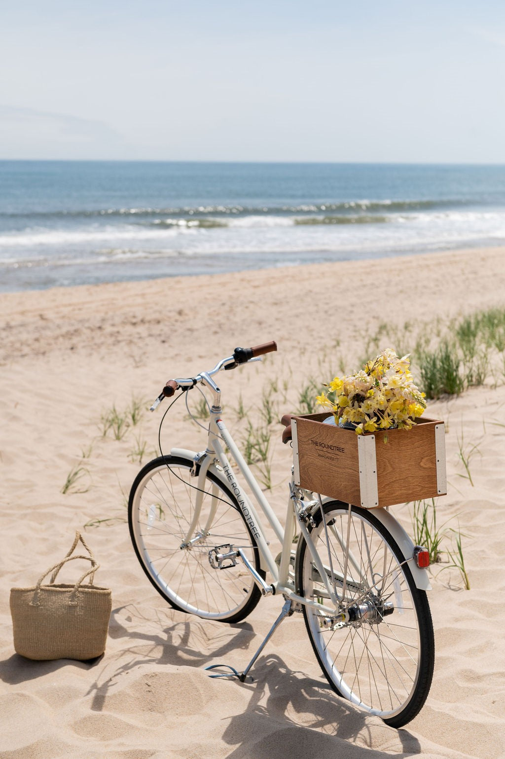 Ivory Franklin 3 on the beach with a wooden rear crate with yellow flowers