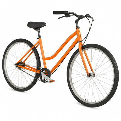 Generic Step-Through Bike