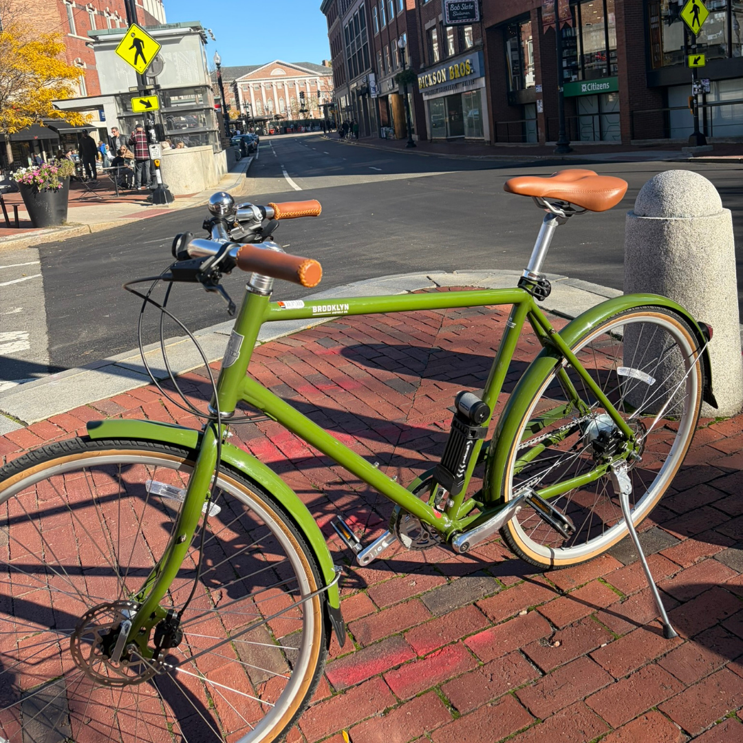 doc green citybike 28 Driggs 8i