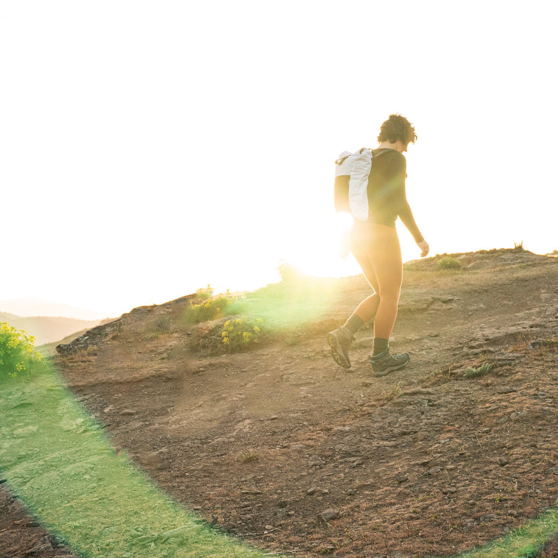 Davis Daypack 20L Davis Daypack 20L