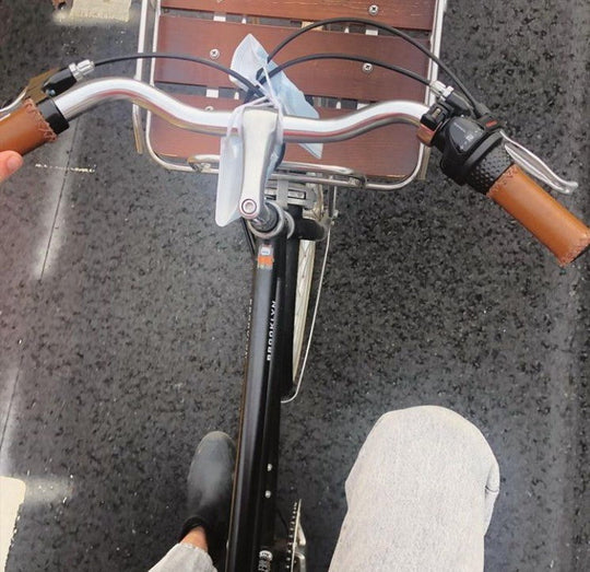 3 Speed Bicycle Driggs Three Cruiser Bike Brooklyn Bicycle Co.